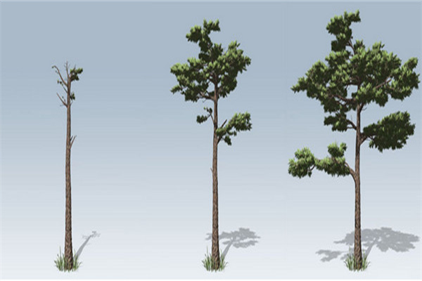 SpeedTreeİ