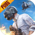 pubgֱװ1.4_pubgֱװܰ׿Ѱv1.4