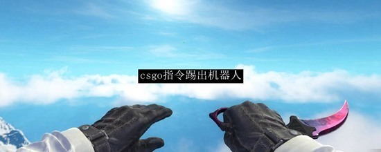 csgo߳botָѧ csgo(2023)߳botָȫ