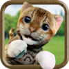 ɰèģCute Cat Simulator Games