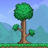 Terraria̩ǹȸ