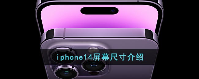 iphone14Ļߴ綼ô iphone14ĻߴľϢ