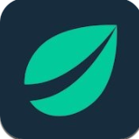 Bitfinex